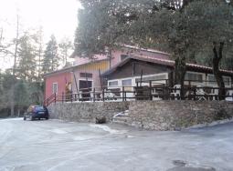 passo lucese passo lucese