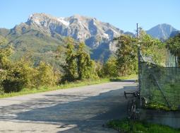il cipollaio