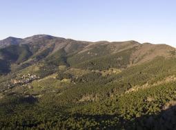 Monte serra