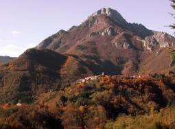 Vista panoramica