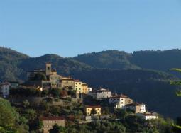 Marliana