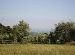 Panorama da podere consani