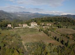 Forci