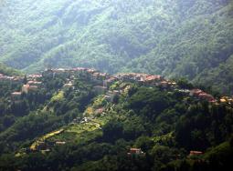Tereglio