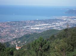 Pasquilio