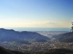 panorama