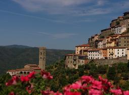 vellano